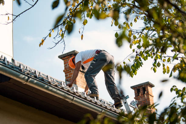 Best Roof Restoration Services  in Rose Lodge, OR